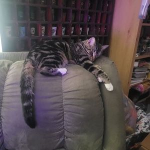 Meet your Posher, Tamara